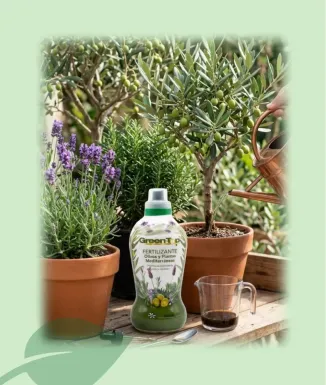 Green Top Adob Oliveres i Plantes Mediterrànies 1 L