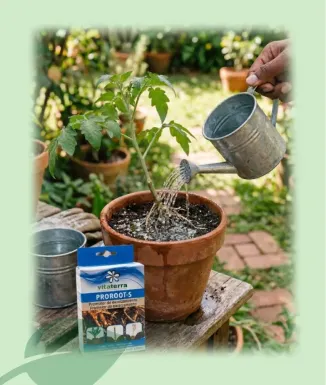 Proroot Enraizante Ecológico 60 ml Enraizante Natural