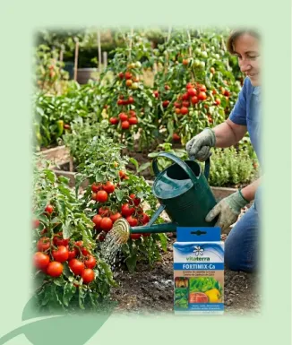 Fortimix Corrector Calci i Bor 60 ml Fertilitzant