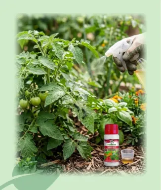 Terrascet Anti Erugues Ecològic 60 ml Vitaterra