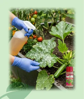 Terrarum Anti Oïdi Ecològic 60 ml Vitaterra