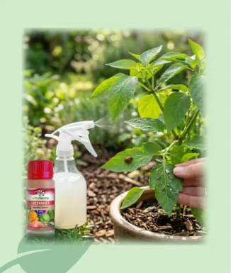 Greenmix Anti Insectos Ecológico 60 ml Vitaterra