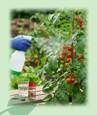 Biorgan Anti Fongs Arrel Ecològic 60 ml Vitaterra