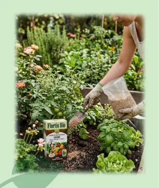 Guano Orgánico 800 g Flortis Fertilizante Natural