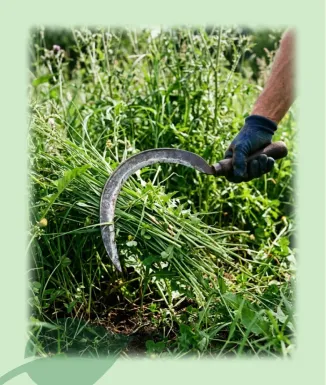 Hoz HA2000B Herramienta de Corte Jardín