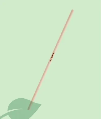 Mànec llarg ALOÑA per escombra 120 cm