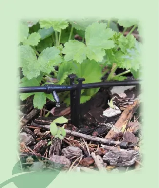 Piqueta AQUA CONTROL 902810 microtub 4 mm 10 unitats