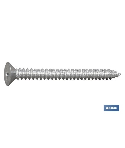 Tornillo Roscachapa Cabeza Avellanada Phillips Zincado