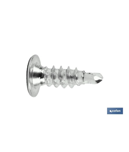 Tornillo autotaladrante cabeza extraplana Phillips INOX