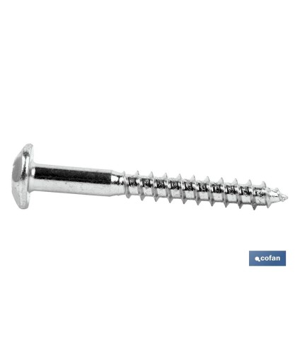 Tornillo Inviolable Torx-30