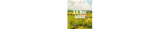 D.O. Rías Baixas