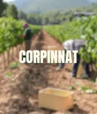 Corpinnat