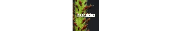 Insecticida