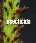 Insecticida
