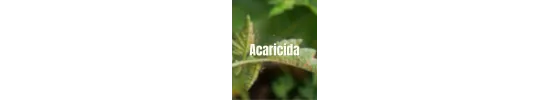 Acaricida