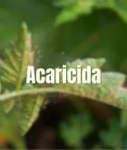 Acaricida