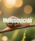 Molusquicida