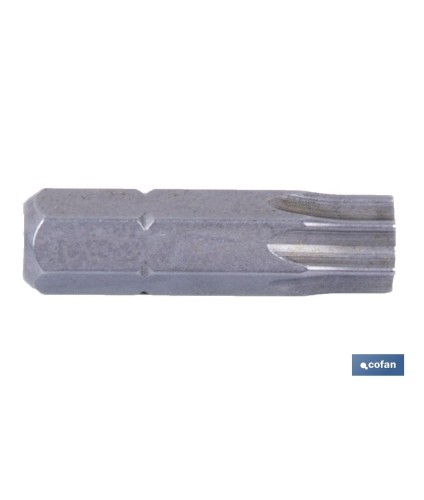 Punta para atornillador de Acero | Modelo 1/4 Torx | Longitud 25 y 50 mm
