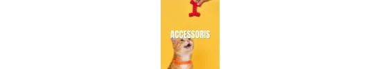 Accesorios para gato