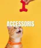 Accessoris per gat