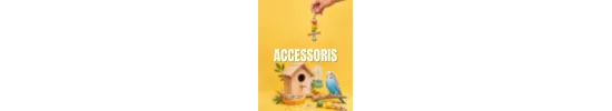 Accesorios para pájaro