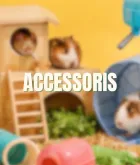 Accesorios para roedor