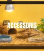 Accesorios para reptil