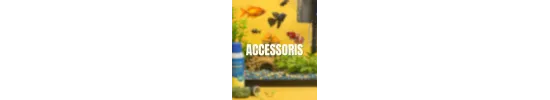 Accessoris per a peixos