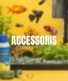 Accessoris per a peixos