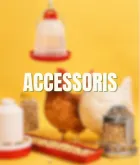 Accessoris per a gallines i pollastres