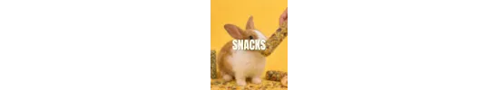 Snacks per a conill