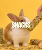 Snacks para conejo