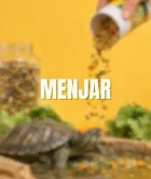 Menjar per a tortuga