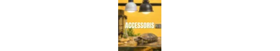 Accessoris per a tortuga