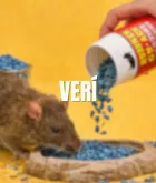 Verí