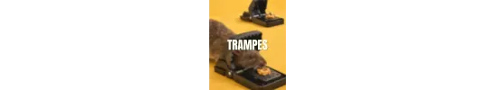Trampes