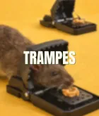 Trampas