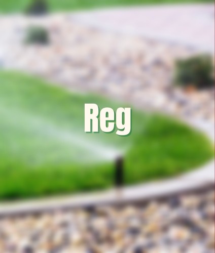 Reg