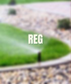 Reg