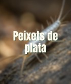 Pececillos de plata