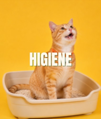 Higiene per a Gats