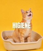 Higiene per a Gats