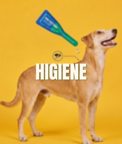Higiene per a gos