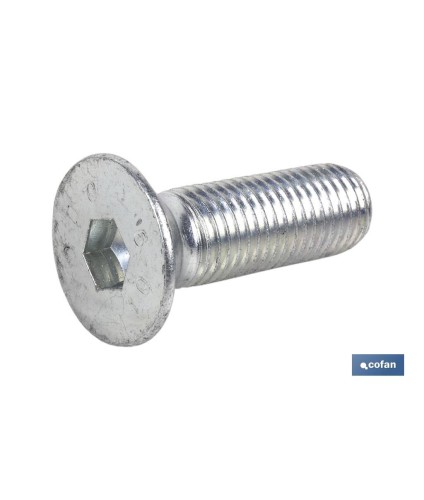 Tornillo allen DIN 7991 | Cabeza avellanada y plana con hexágono | Clase 10.9 zincado | Medidas desde M-3 hasta M-20