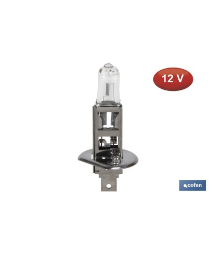 Lámpara Halógena H1 (P14,5S) 12V 55W | Pack: 10 uds