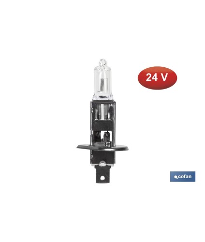 Lámpara halógena H4 (P43t) 24 V 75/70 W | Pack: 10 unidades