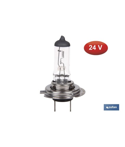 Lámpara halógena H7 (Px26d) 24 V 70 W | Pack: 10 unidades