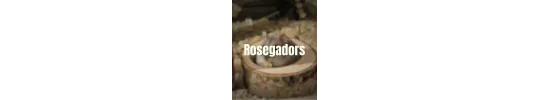 Rosegador