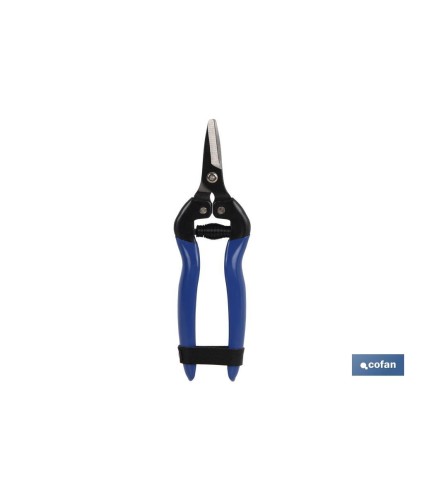 Tijeras de recolección con punta recta corta y longitud total de 165 mm | Especiales para jardinería