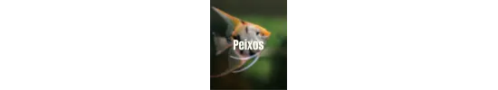 Peix